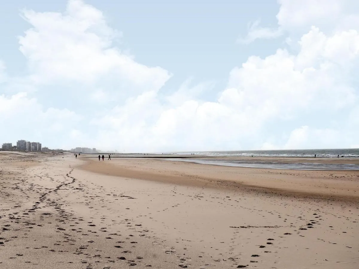 Ground Floor Apartment In Ostend Near The Sea