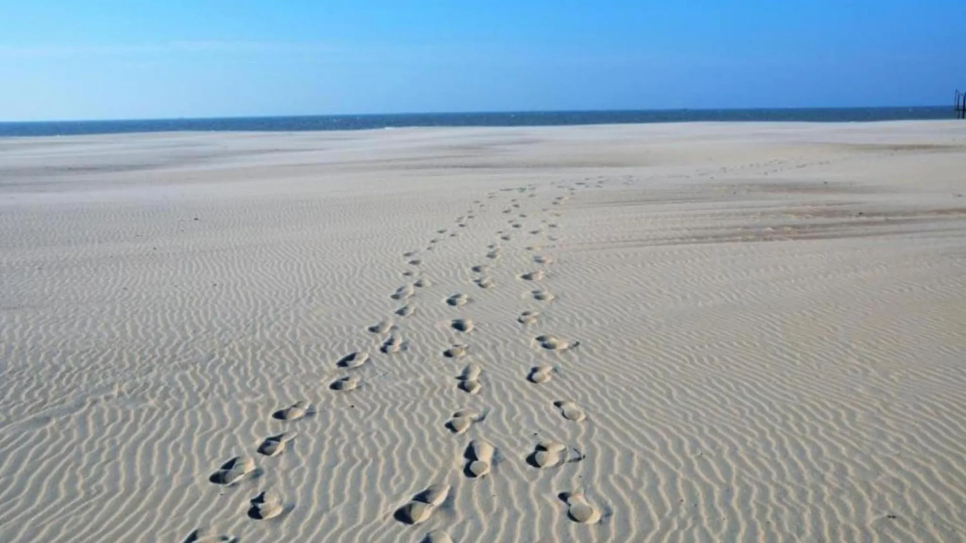 Ground Floor Apartment In Ostend Near The Sea