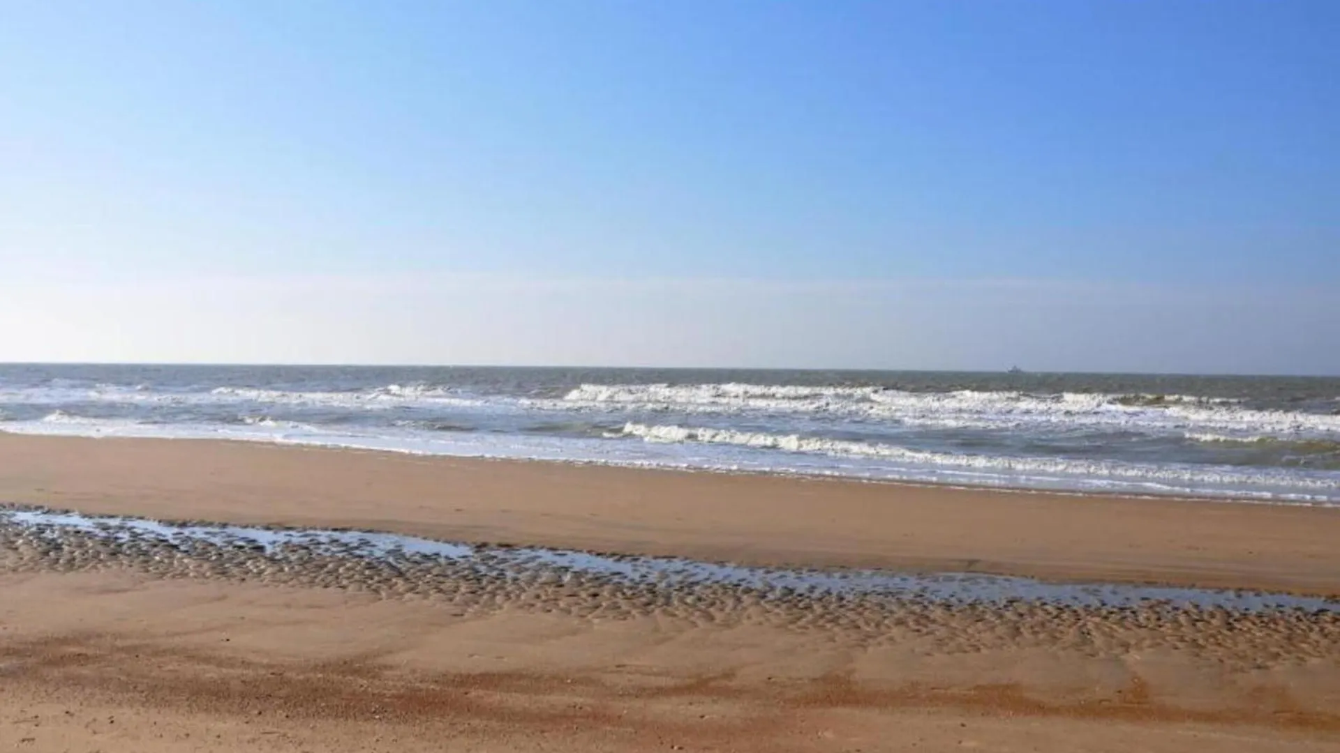 Ground Floor Apartment In Ostend Near The Sea ベルギー